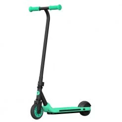 Ninebot By Segway Kickscooter Zing A6 - Dark Grey Green