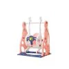Elite Toys Kids Zone Swing